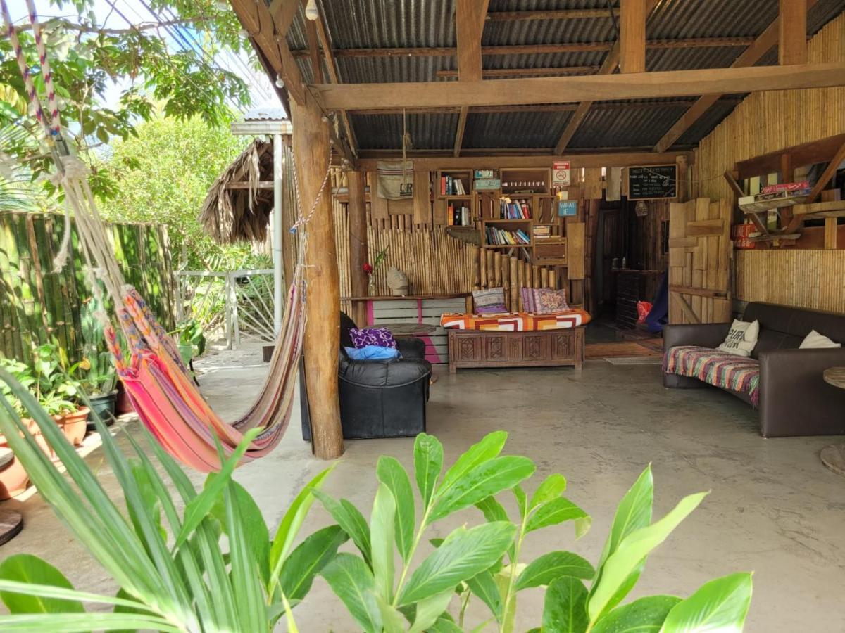 Хостел Roots Family Puerto Viejo de Talamanca Экстерьер фото
