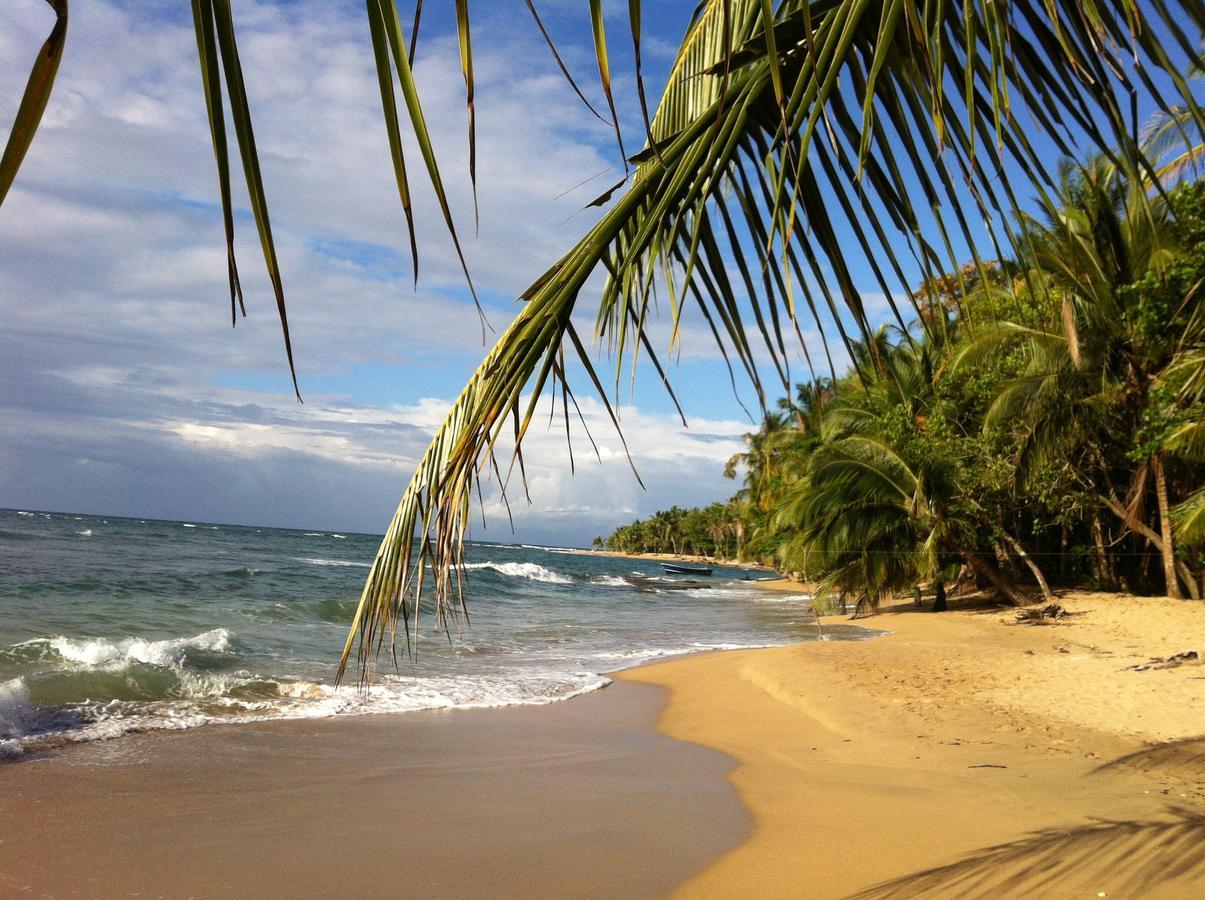 Хостел Roots Family Puerto Viejo de Talamanca Экстерьер фото